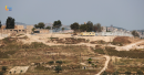 Palestine news