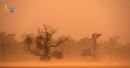 WMO report