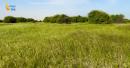 FANA environmental file