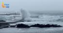 Typhoon Dolphin Japan