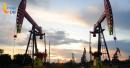 global oil prices drop