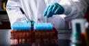 AI cell drug response