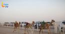  Al-Bashayer Camel Racing Track
