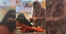 Omani crafts
