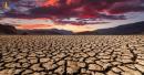 UN Environment Programme