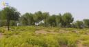 Plant Propagation Center Oman
