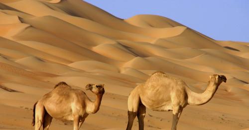 Top 10 List Of Travel Destinations