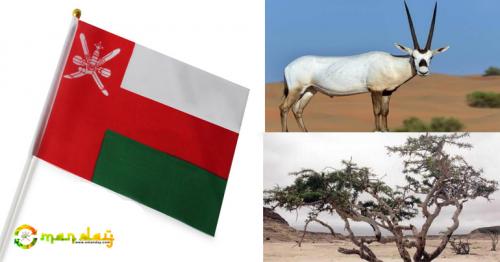 About Oman National Flag, Animal and Tree