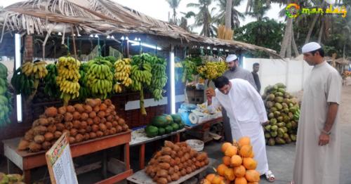Salalah Agricultural Plain is characterised by abundance of agricultural crops, most notably coconut, papaya and bananas.