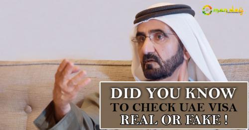  Dubai visa Fake Or Real?