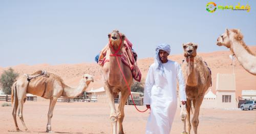 All About Wahiba Sands in Oman