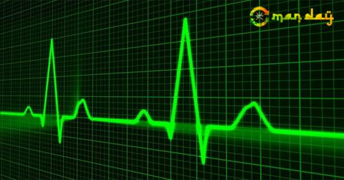 Causes of Death Worldwide