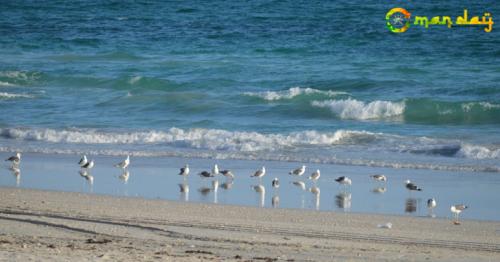 Al Mughsayl Beach