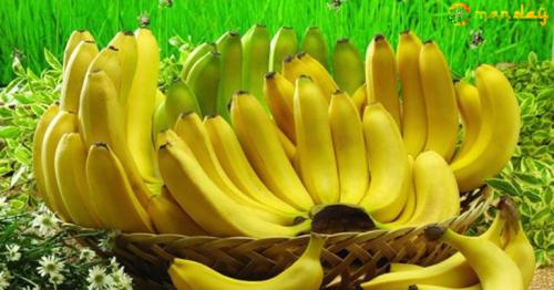 Bananas