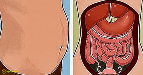 You Are Bloated. Here Are 11 Reasons And Proven Ways To Fix Them All