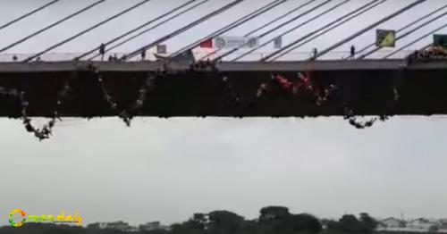 Watch: 245 People Jumped Off A Bridge Together