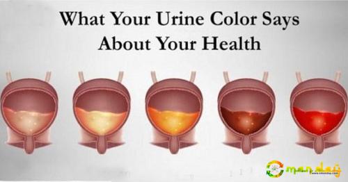 Here’s what the color of your urine says about your health