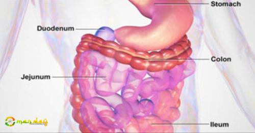 3 Easy steps to healing your digestive problems naturally