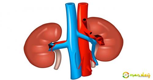 Bad habits that may be damaging your Kidneys