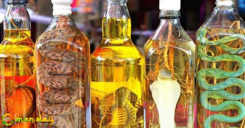 5 Gross things you will not believe humans eat actually !