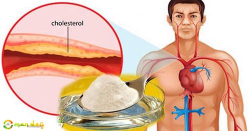 Best Medicine against Cholesterol and High Blood Pressure