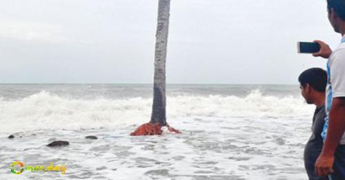 No Ockhi effect in Sultanate, temperature to be colder