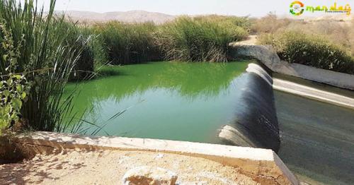 Wetlands to Wonderlands