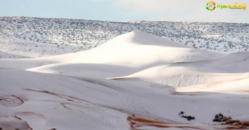 More than 15 inches (40cm) has blanketed sand dunes across the small town of Ain Sefra, Algeria.