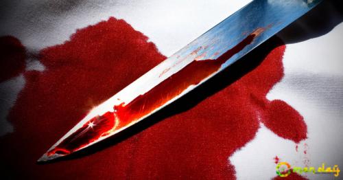 19-year-old Haryana girl murders brother, hides body in bed box