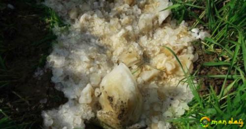 &rsquo;Airline poo&rsquo; falls on India village causing confusion
