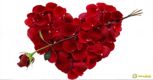 Pakistan bans Valentine’s Day on TV, radio