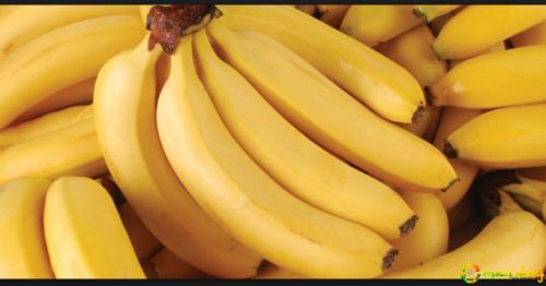 Banana: The controversial fruit