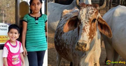 Brave 8-Year-Old Girl Saves Brother From A Charging Cow In Karnataka
