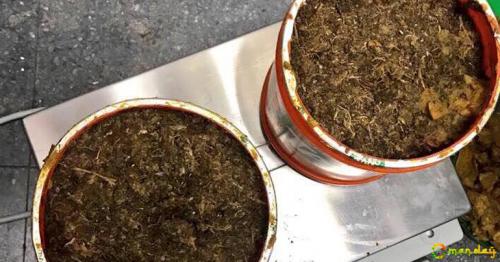  Oman Customs seized  More than 30 kilos of Khat, Marijuana 