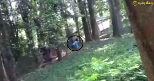 Man jumps into lion enclosure at Kerala zoo to &rsquo;have a chat&rsquo; with the lion
