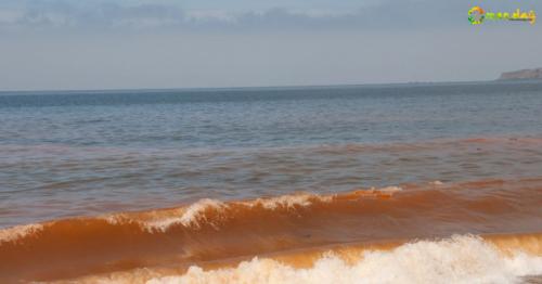 Red tide in Barka likely to affect water supply