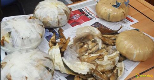 Oman Customs seized  4.6 kg marijuana