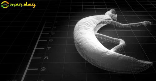 17 humans injected with devastating parasite in search for vaccine