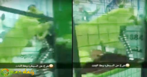 Saudi Arabia: Lion cub attacks girl at a festival in Jeddah, video goes viral