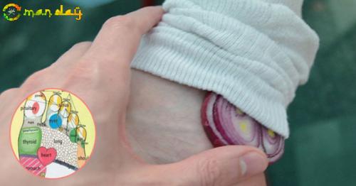 This Plant is Known as &rsquo;&rsquo;THE GIFT OF GOD&rsquo;&rsquo; because it Can Cure up to More Than 100 Diseases!