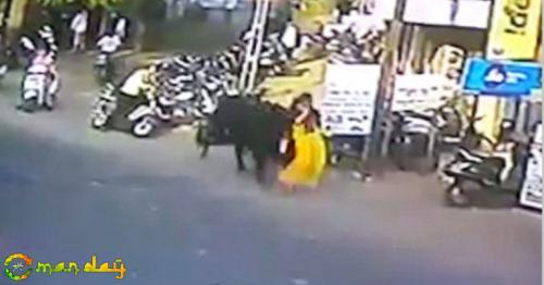 Woman attacked, flung into air by charging bull in Gujarat – WATCH shocking video
