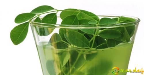 Ginger and Moringa: The miraculous combination that fights the deadliest diseases of the 21st century!