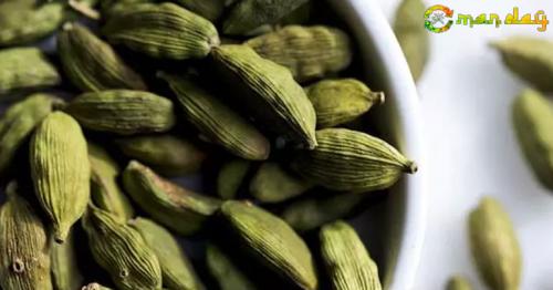 Here’s How Cardamom Can Help You Lose Weight