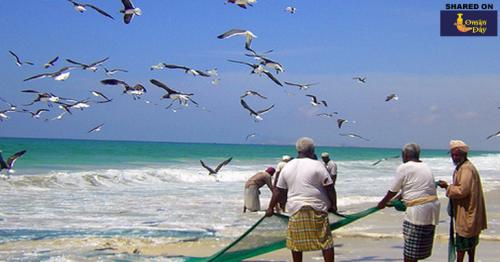 Fishing of sea cucumber banned for one year
