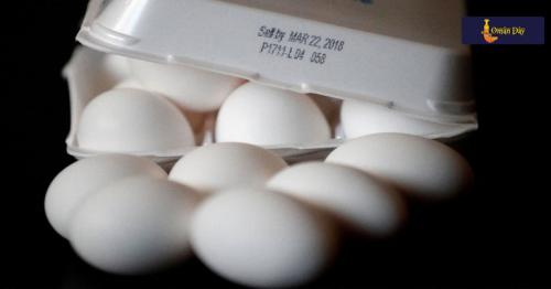 Salmonella Recall: Are your eggs contaminated?