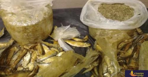 Attempts to smuggle marijuana, tobacco and psychotropic substances in the Sultanate were foiled by Oman Customs.