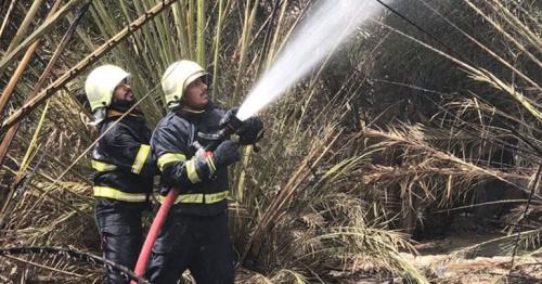 Muscat: Five farms caught fire in the last 24 hours in the Sultanate