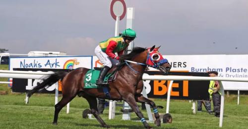 Royal Cavalry of Oman horses won the two top places in the British Chepstow races.