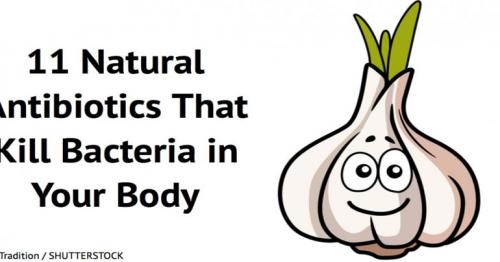  11 Natural antibiotics that kill bacteria in our body