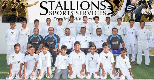 Stallions Cricket Team Qatar